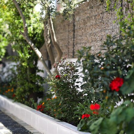 Vila Feliz - Premium Rooms With Free Private Parking Vlorë Exterior foto