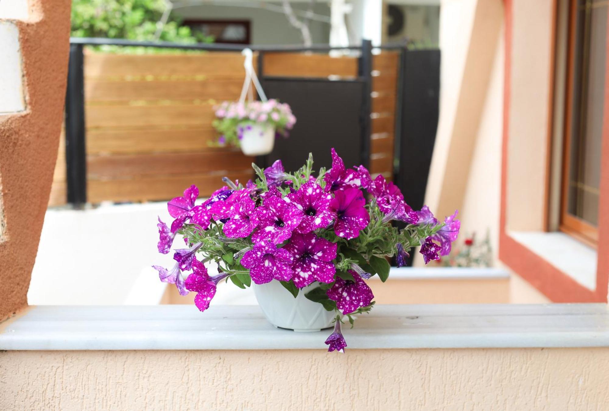 Vila Feliz - Premium Rooms With Free Private Parking Vlorë Exterior foto