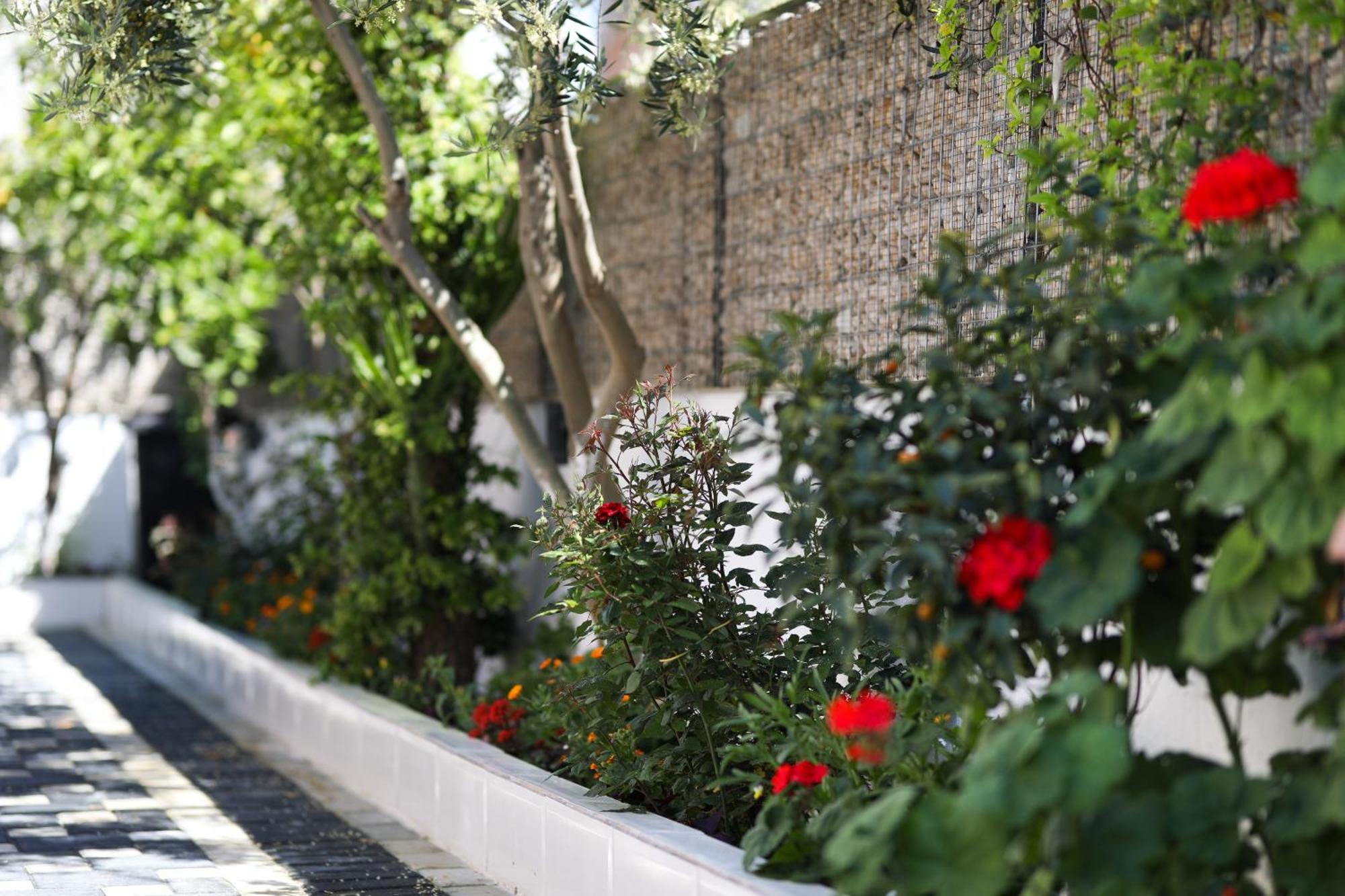 Vila Feliz - Premium Rooms With Free Private Parking Vlorë Exterior foto